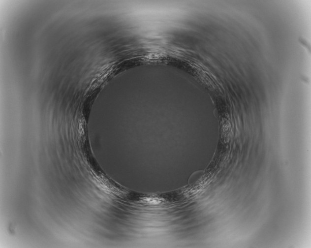 X0000093370654200710251154