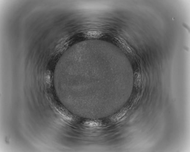 X0000093370655200710251154