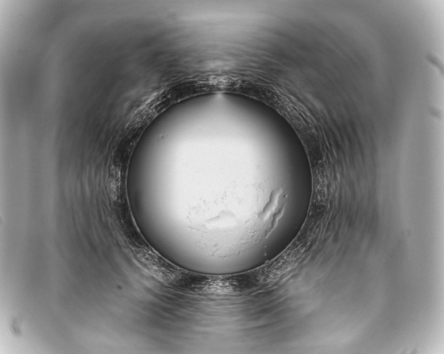 X0000093370656200710251155