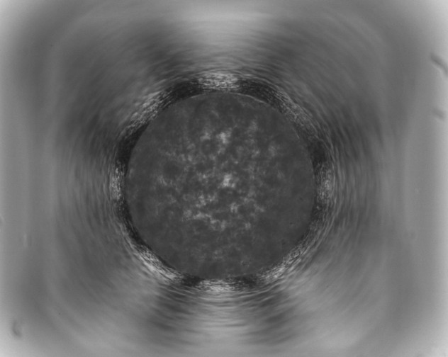 X0000093370658200710251155