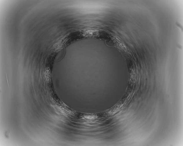 X0000093370659200710251155