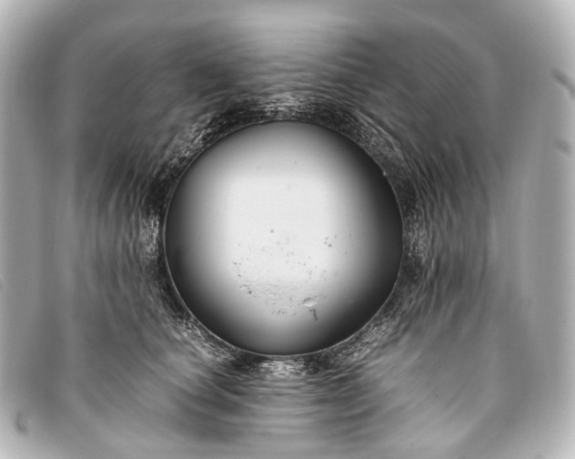 X0000093370660200710251155