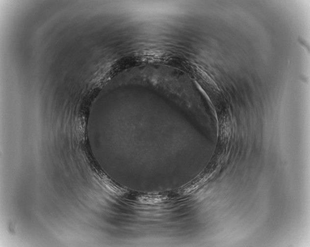 X0000093370661200710251155