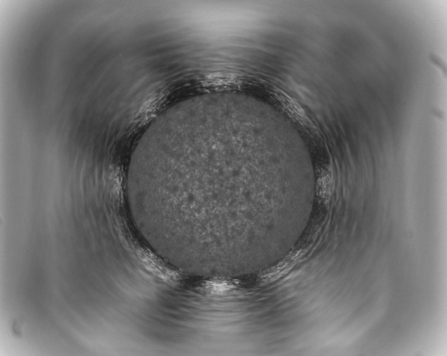 X0000093370662200710251155