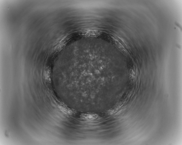 X0000093370663200710251155