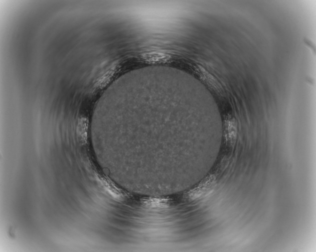 X0000093370664200710251155