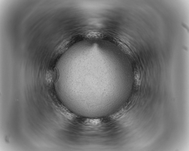 X0000093370665200710251155