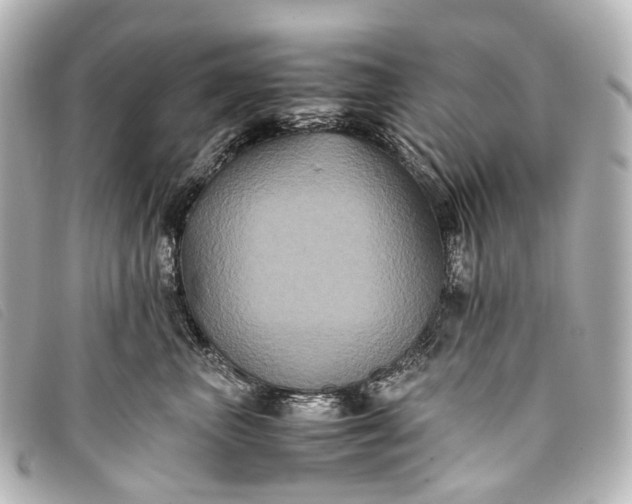 X0000093370667200710251155