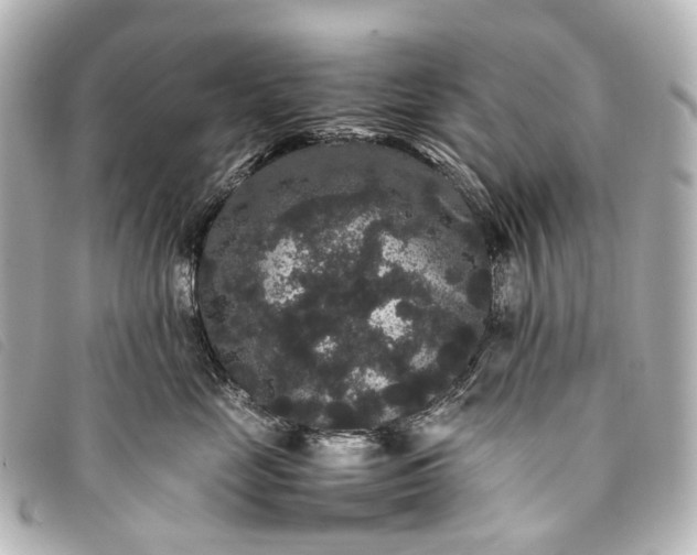 X0000093370669200710251155