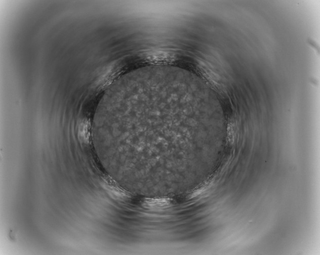 X0000093370671200710251155