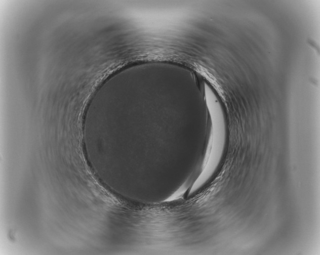 X0000093370673200710251154