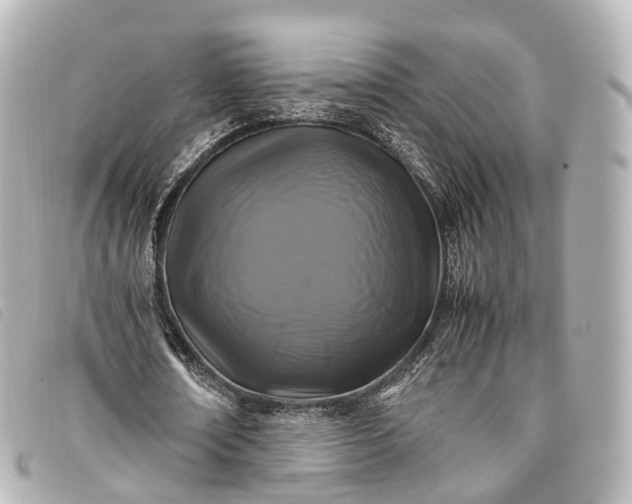 X0000093370674200710251154