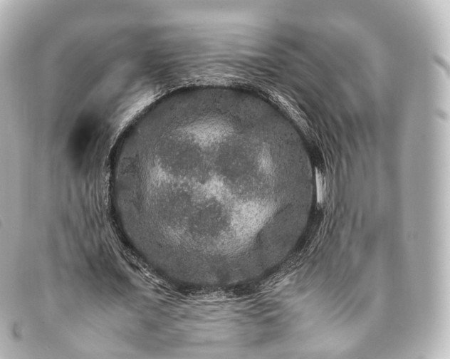 X0000093370675200710251154