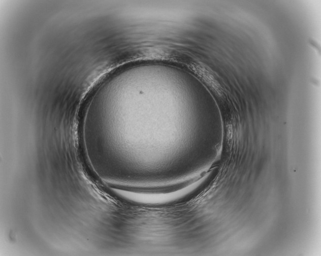 X0000093370676200710251154