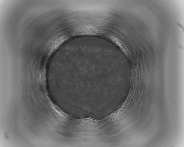 X0000093370677200710251154