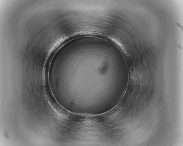 X0000093370678200710251154