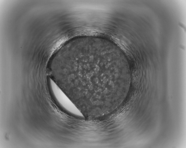 X0000093370679200710251154