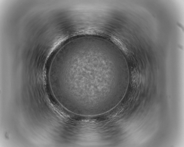 X0000093370680200710251154