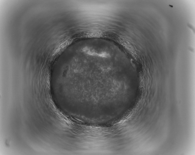 X0000093370681200710251154