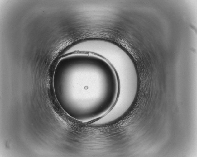 X0000093370683200710251154