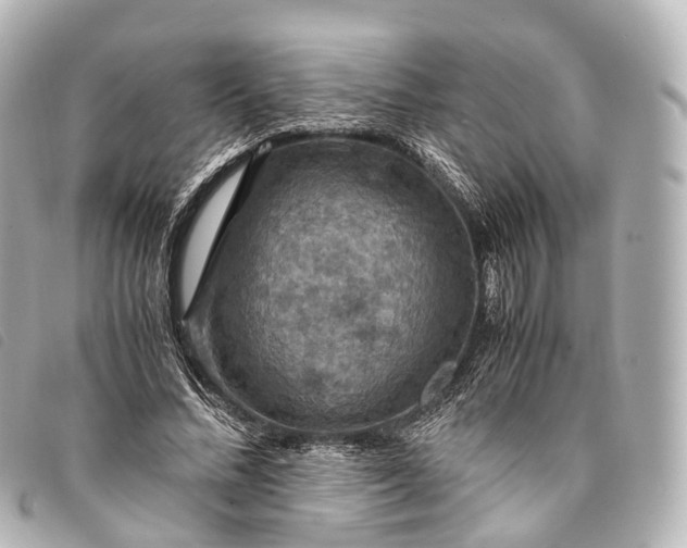 X0000093370684200710251154