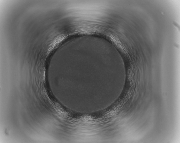 X0000093370685200710251154