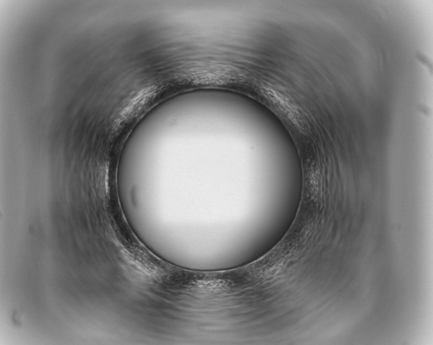 X0000093370686200710251154