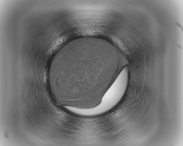 X0000093370687200710251154