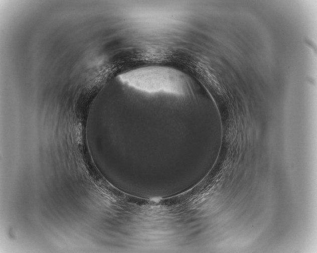 X0000093370689200710251154