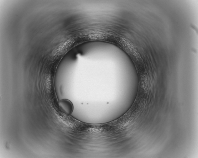 X0000093370690200710251154