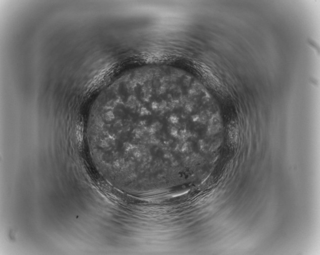 X0000093370691200710251154