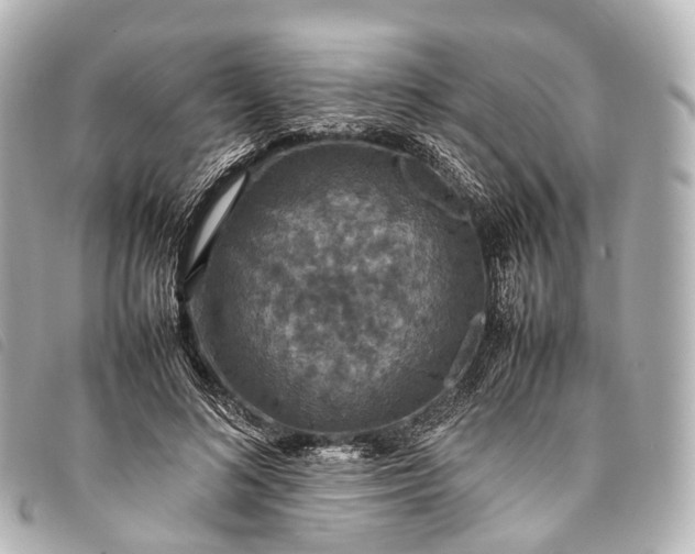 X0000093370692200710251154