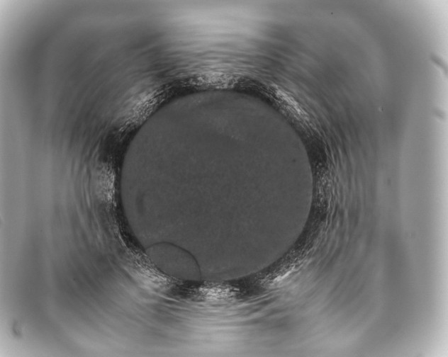 X0000093370693200710251154