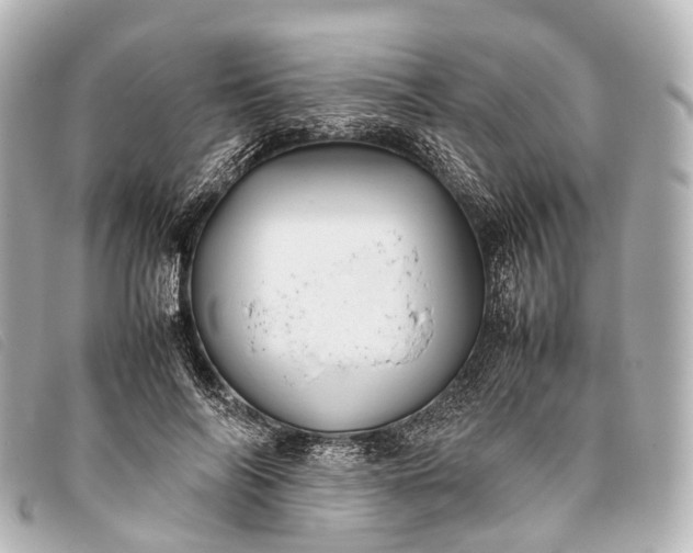 X0000093370694200710251154