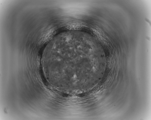 X0000093370695200710251154