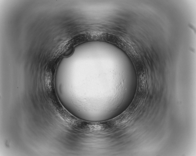 X0000093370698200710251154