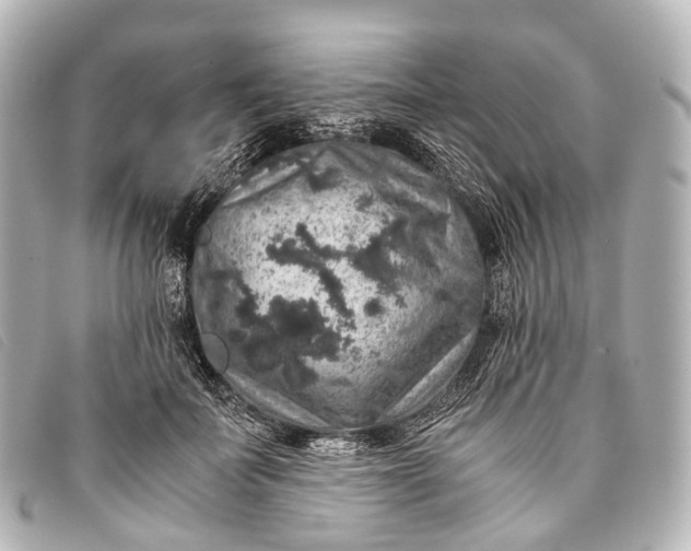 X0000093370699200710251154