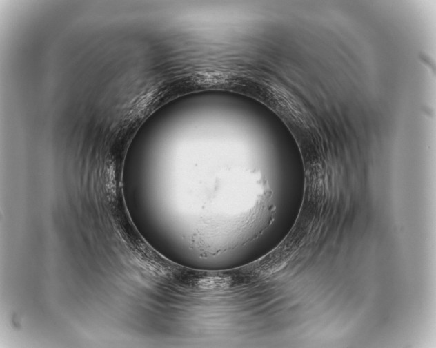 X0000093370700200710251154