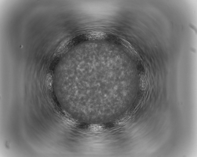 X0000093370701200710251154