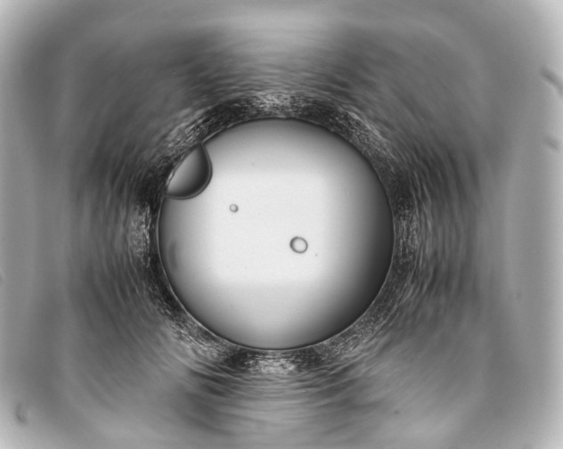 X0000093370702200710251154