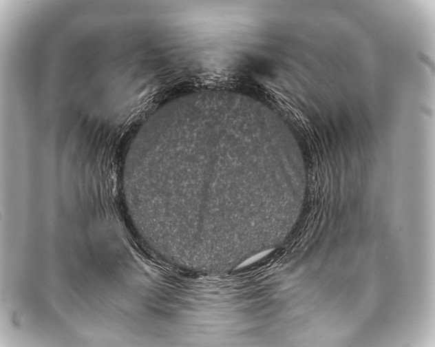 X0000093370703200710251153