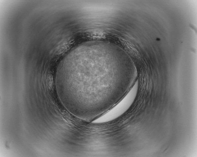 X0000093370704200710251153