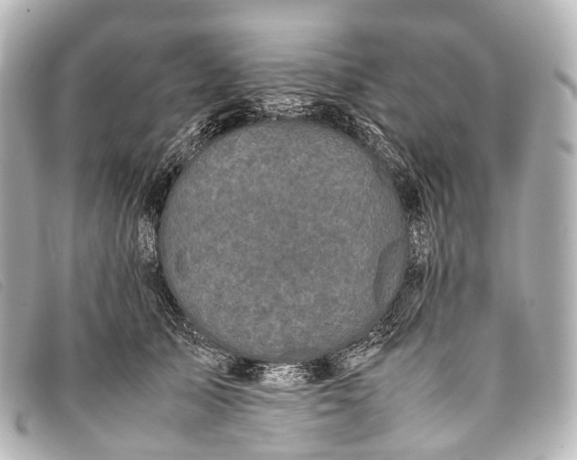 X0000093370705200710251153