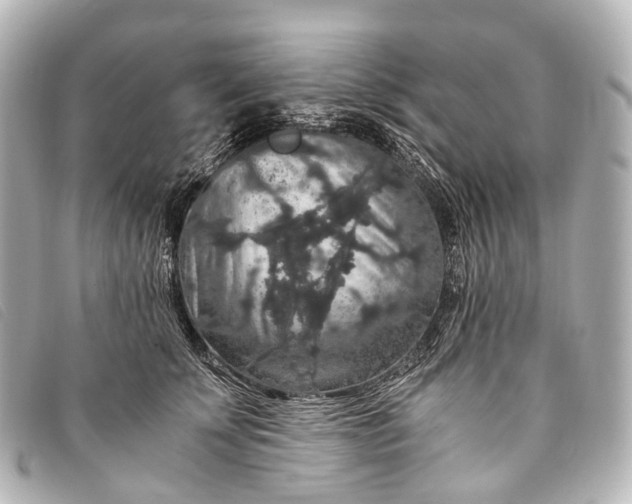 X0000093370707200710251153