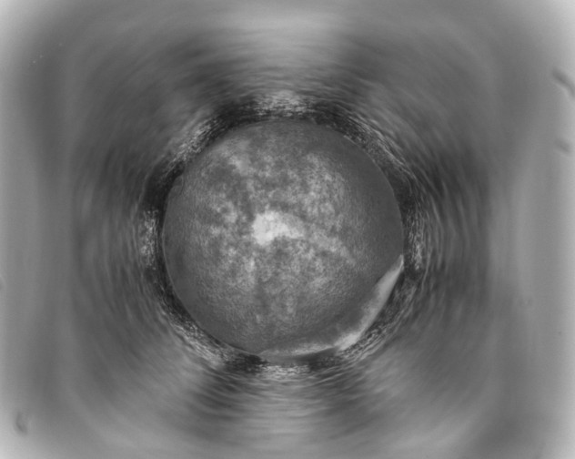 X0000093370708200710251153