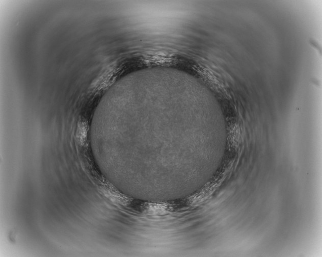 X0000093370709200710251153