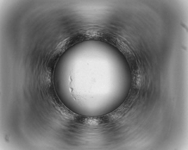 X0000093370710200710251153