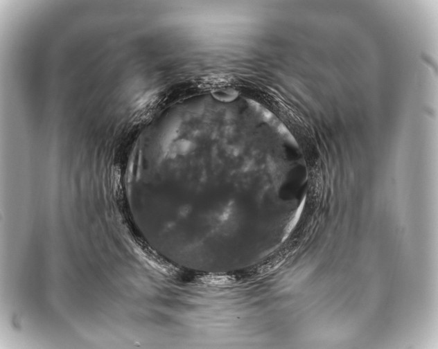 X0000093370711200710251153