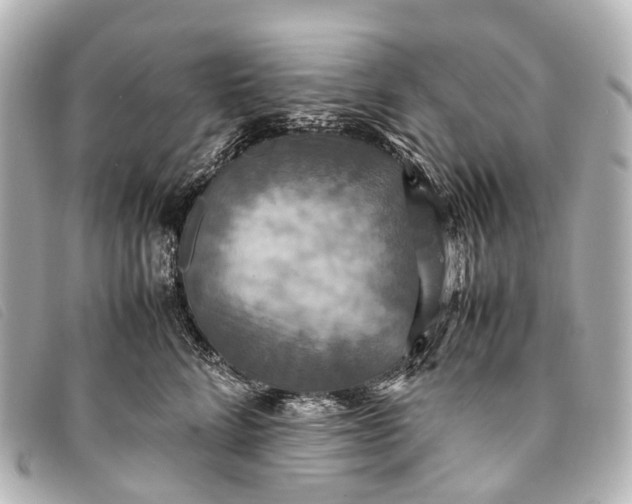 X0000093370712200710251153