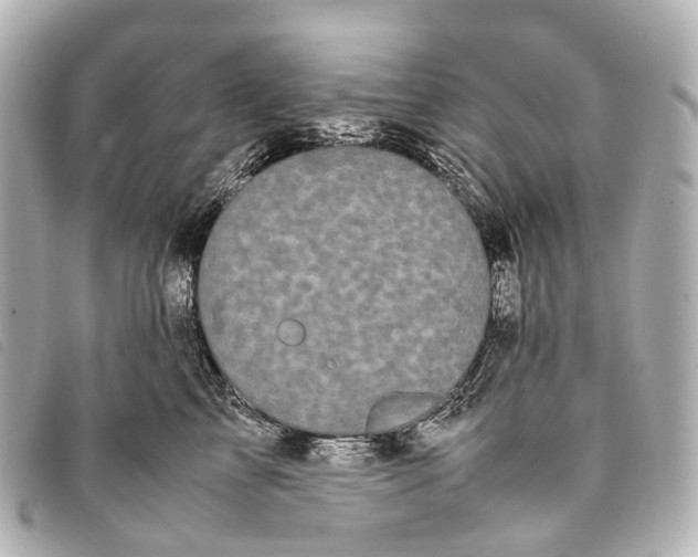 X0000093370713200710251153